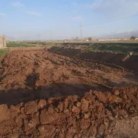 اجاره ۱ هکتار زمین کشاورزی