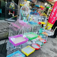 قفس|لوازم جانبی حیوانات|رشت, شهریاران|دیوار