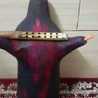 نی انبان