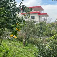 ویلا باغ کوهپایه ای