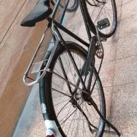 دوچرخه فونیکس