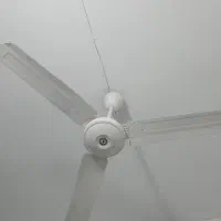 پنکه سقفی البرز