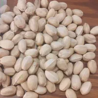 بسته دهن بست