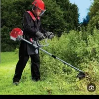 علف باغ رایگان