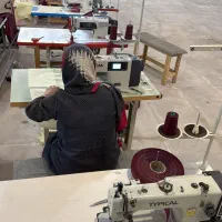 چرخکار خانم