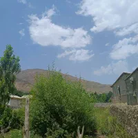 ۶۰۰ متر زمین واقع در شهر کجور