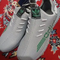 کفش|کیف، کفش، کمربند|شیراز, کفترک|دیوار