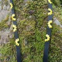 بندعینک گلدوزی شده