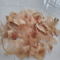 کتیرا