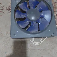 فن تمیز در حد