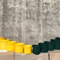 گل و گیاه، گلدان،کود و بستر کشت گیاهان آپارتمانی|گل و گیاه طبیعی|طبس, |دیوار