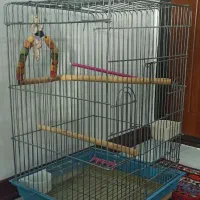 قفس پرنده