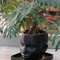 نگهبان مجموعه ورزشی هروی