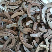 نعل اسب کارکرده رزق و روزی