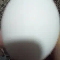 تخم مرغ محلی