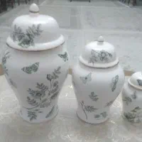 سلام جینجر سه تیکه لبه طلایی