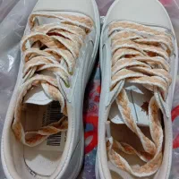 کفش|کیف، کفش، کمربند|تاکستان, |دیوار