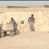 آجر و سفال ارسال مستقیم از کارخانه زیر نرخ بازار|مصالح و تجهیزات ساختمان|زنجان, |دیوار