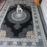 ۴عددفرش ۱۲۰۰شانه|فرش|تهران, چیتگر شمالی|دیوار