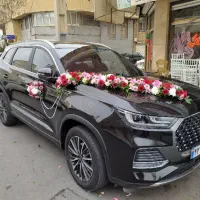 پک اقتصادی ماشین عروس ۱۰۰۰