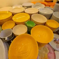 ظروف چینی ملامین ارکوپال|ظروف سرو و پذیرایی|مشهد, شهید مطهری|دیوار