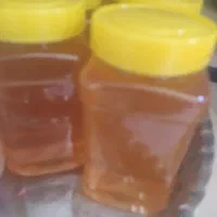 عسل گون طبیعی،،عالی|خوردنی و آشامیدنی|شاهین‌شهر, شهرک هشت بهشت|دیوار