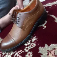 کفش مجلسی