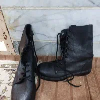 کلا وپوتین