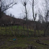 زمین-بکروآرام-درشونان