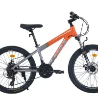 دوچرخه ۲۶بزرگ مکس|دوچرخه، اسکیت، اسکوتر|بجنورد, |دیوار