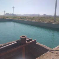 استخر کشاورزی برای پرورش ماهی