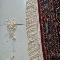 قالیشویی بهار و بهاره کرج بزرگ|خدمات نظافت|کرج, گلشهر|دیوار