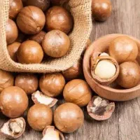 ماکادمیایا نهال درجه یک استرالیا خوشه‌ای