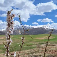 بیمه با شرایط دلخواه الیگودرز