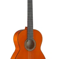 تدریس گیتار پاپ