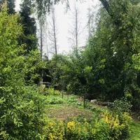 اجاره یک قطعه زمین