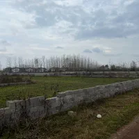 ۱۸۰ متر زمین در چاف باقیمت کاسبی|فروش زمین و ملک کلنگی|چاف و چمخاله, |دیوار