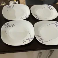 بشقاب پلوخوری، دیس و کاسه نو