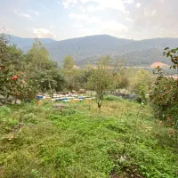 فروش زمین مسکونی