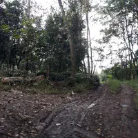 زمین حسین اباد