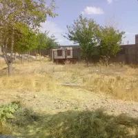 فروش گاوداری در مجتمع زینعلی مهدیشهر سمنان