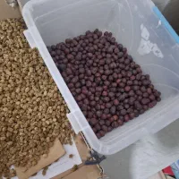 کشمش سیب انار گردو بادام و...|خوردنی و آشامیدنی|یزد, |دیوار