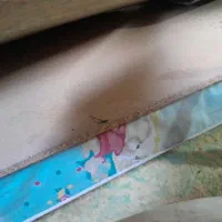 تخت کودک|تخت و سرویس خواب|بناب, |دیوار