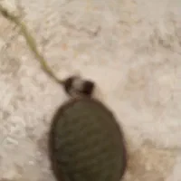 سنگ یشم اصل