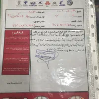 ۴۰۵ مدل ۹۵ دوگانه کارخانه|خودرو سواری و وانت|دوگنبدان, |دیوار