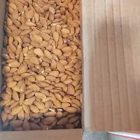 مغز بادام