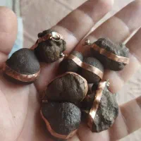 هبهاب خاص و کمیاب ومهره برد