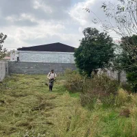 295متر-با-پروانه-شهرستان-زیباکنار-دور-دیوار