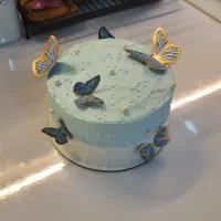 کیک های خانگی بانو