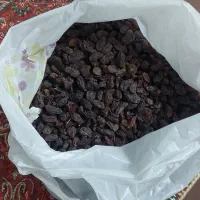کشمش آفتابی شهرضا تازه امسالی|خوردنی و آشامیدنی|اصفهان, لنبان|دیوار